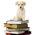 Writing is the Annoying (Adorable?) Puppy You Can’t Ignore